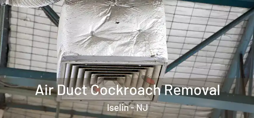  Air Duct Cockroach Removal Iselin - NJ