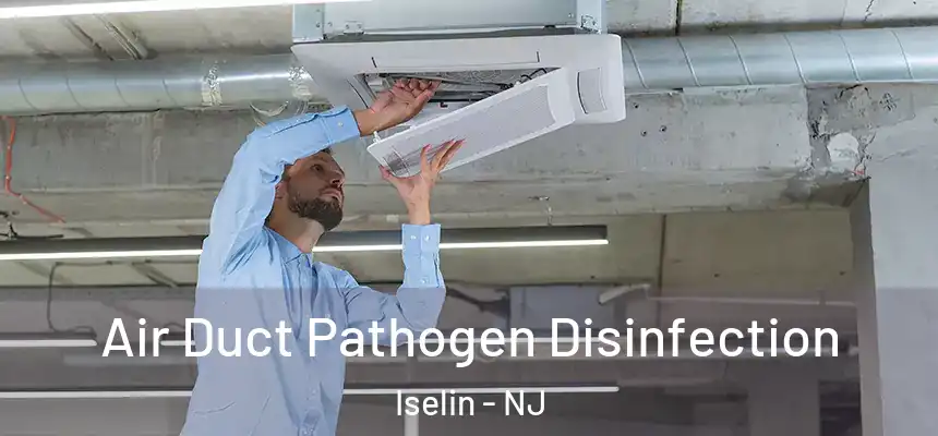 Air Duct Pathogen Disinfection Iselin - NJ