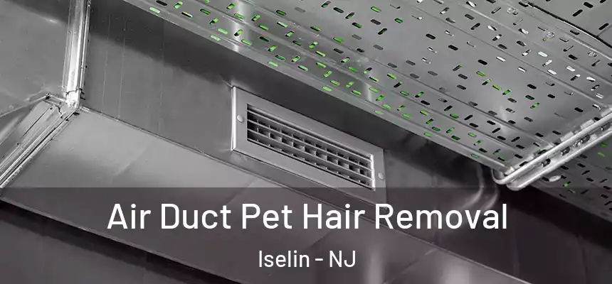 Air Duct Pet Hair Removal Iselin - NJ