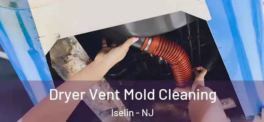  Dryer Vent Mold Cleaning Iselin - NJ