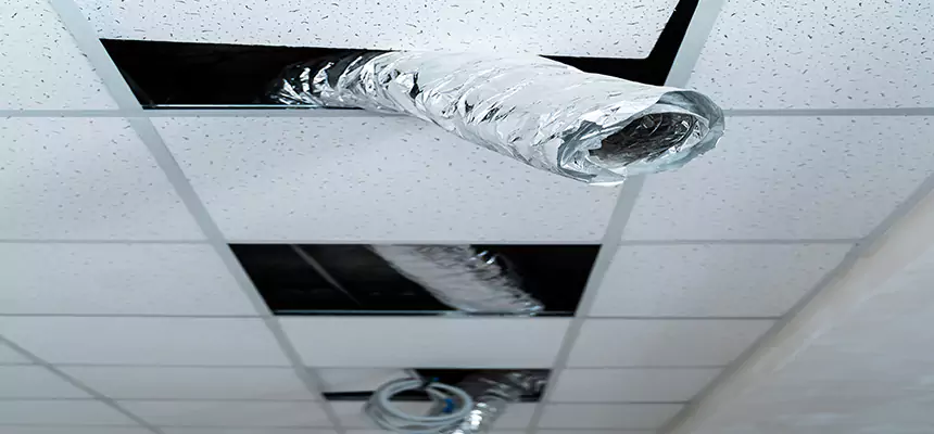 Our Air Duct Pet Hair Removal Services in Iselin, NJ