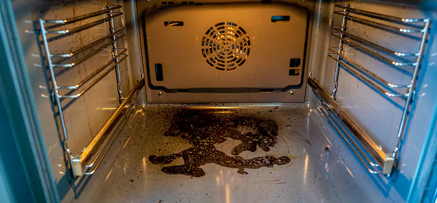 Our Dryer Vent Mold Cleaning Services in Iselin, NJ