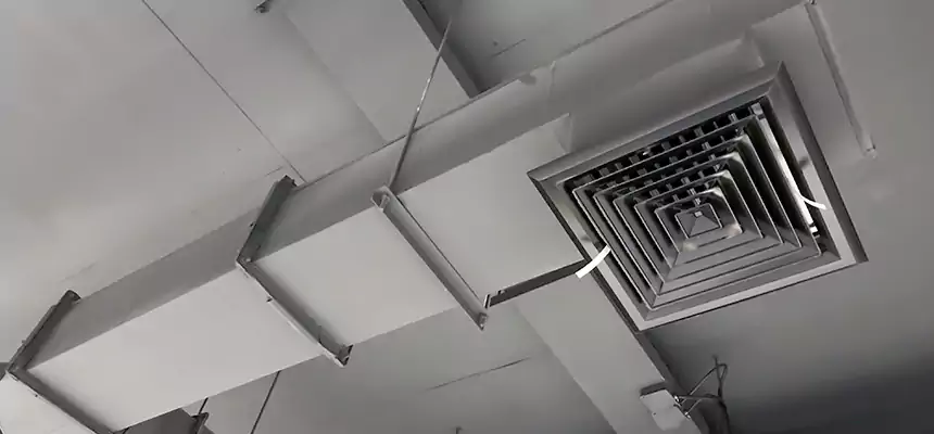 Our Rodent Droppings In Vents Services in Iselin, NJ