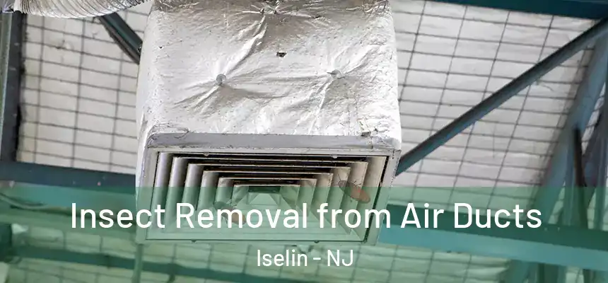  Insect Removal from Air Ducts Iselin - NJ