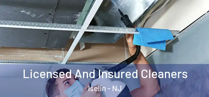  Licensed And Insured Cleaners Iselin - NJ