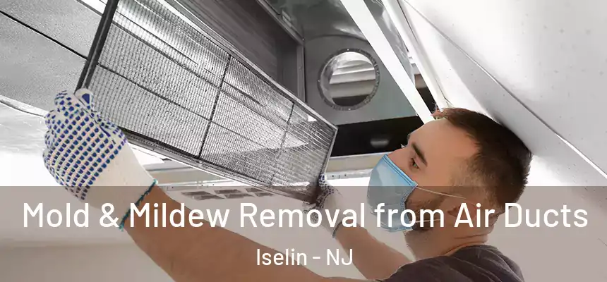  Mold & Mildew Removal from Air Ducts Iselin - NJ