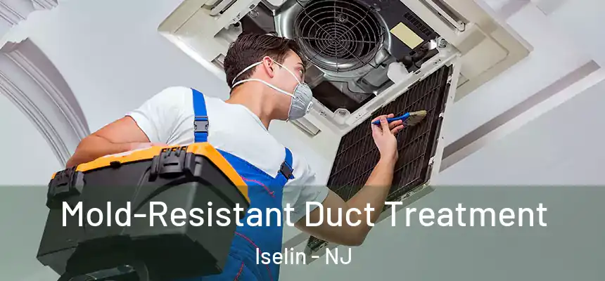  Mold-Resistant Duct Treatment Iselin - NJ