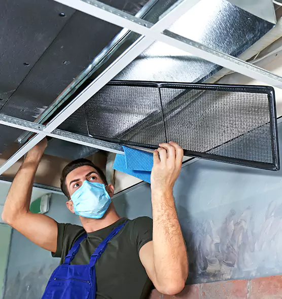About Air Duct Bacteria Removal in Iselin