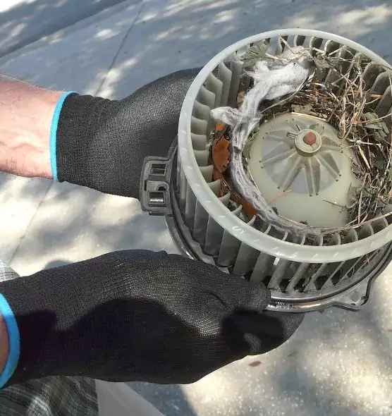 About Air Duct Mice Removal in Iselin, NJ