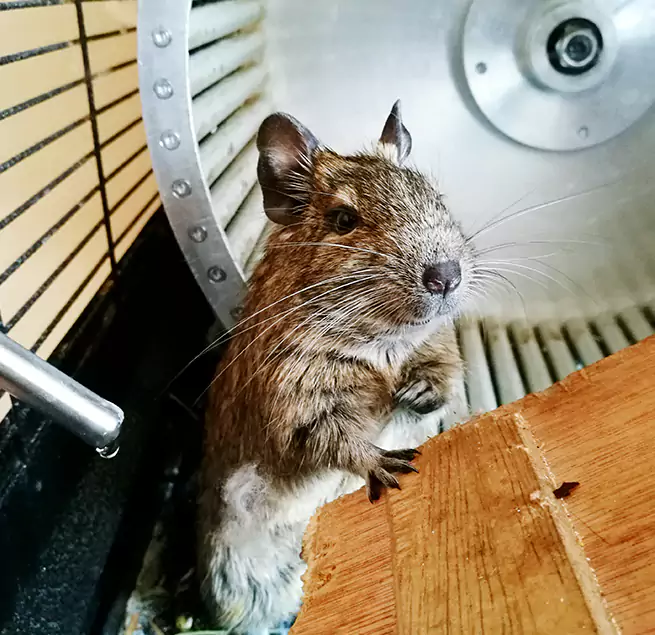 Why Homeowners & Businesses Trust Us Iselin, NJ