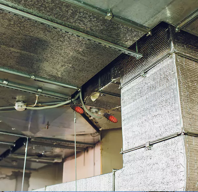 Why Homeowners & Businesses Trust Us Iselin, NJ?